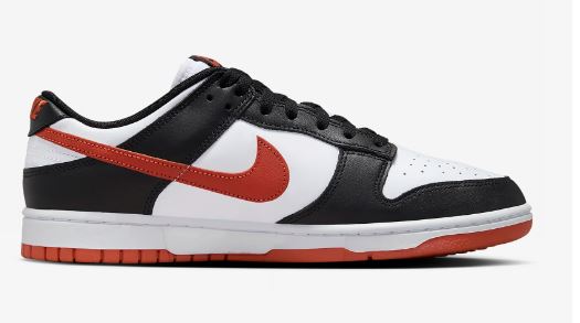 Nike Dunk Low Retro Men's Shoes