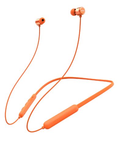 Collar Flash