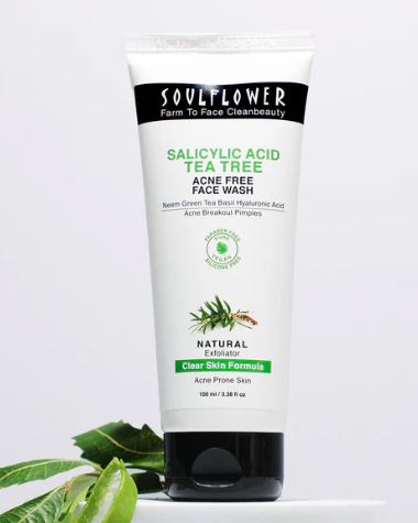 Salicylic Acid Tea Tree Face Wash