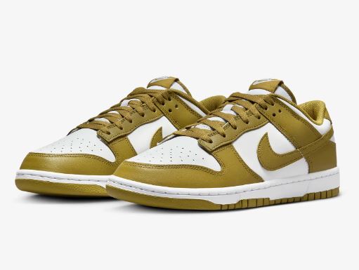 Nike Dunk Low Retro Men's Shoes