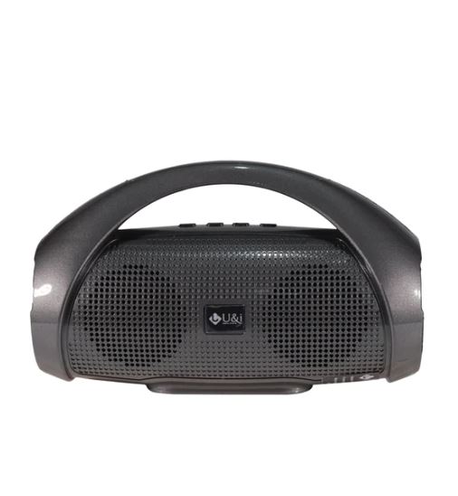 U&i Kingdom Series 8W Wireless Speaker