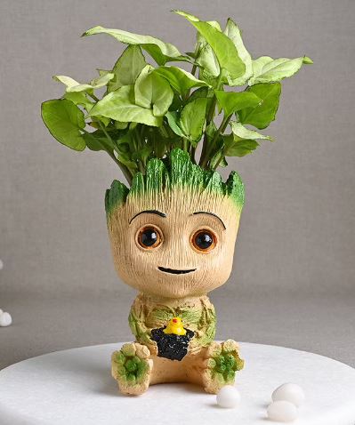 Baby Groot Syngonium