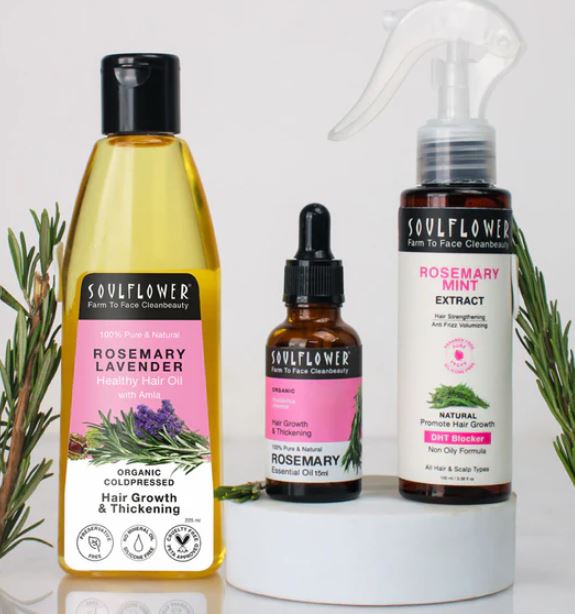 Rosemary for Healthy Hair Growth