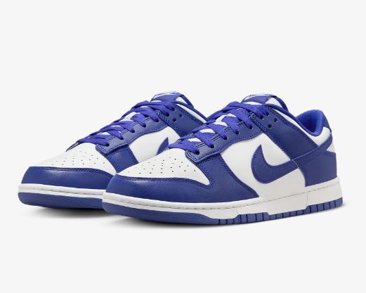 Nike Dunk Low Retro Men's Shoes