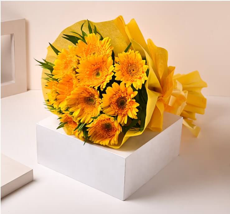 Sunshine Gerberas For Celebration