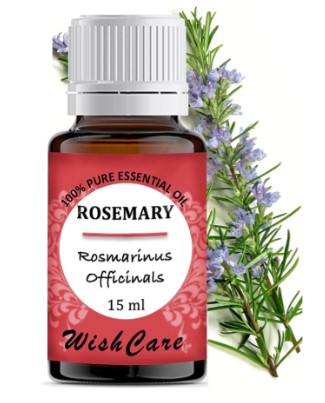 Rosemary Essential Oil