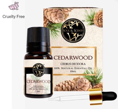 Cedar Wood Essential Oil