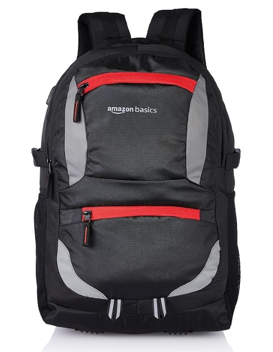 Amazon Basics Laptop Bag