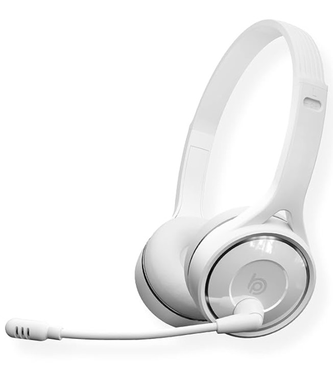 BigPassport Bluetooth Wireless Headset