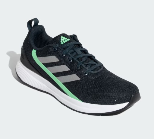 Pictoris Shoes