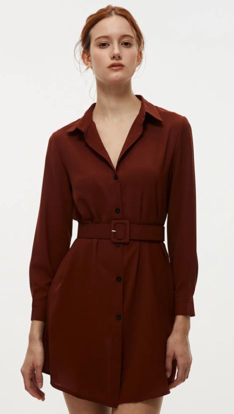 Short Belted Shirt Dress