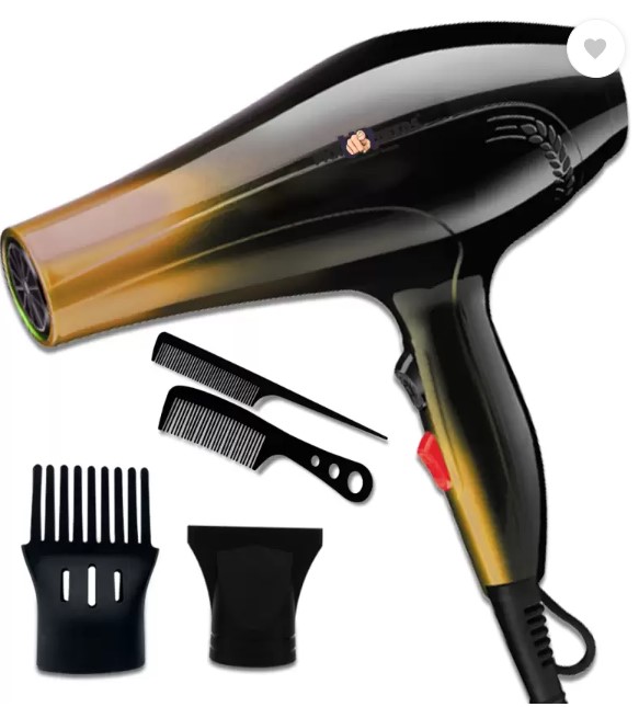 Powerful Professional Hair Dryer